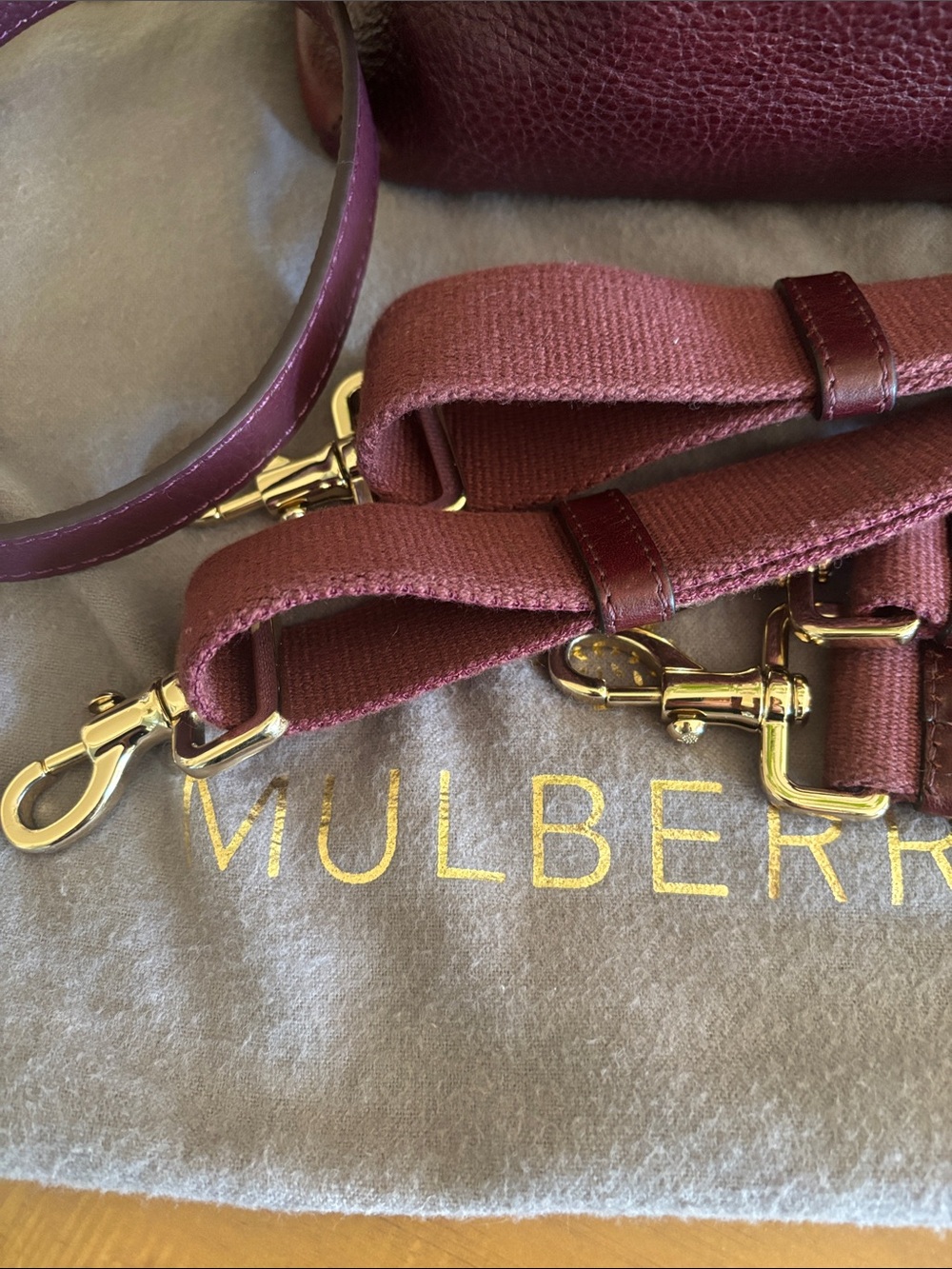 Mulberry Cara Delevigne backpack - Picture 4 of 16